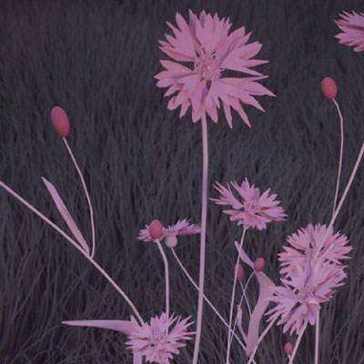 华体会登录手机版手机app下载截图